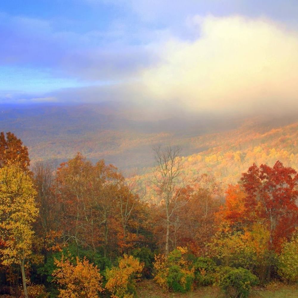 Amicalola Falls State Park And Lodge Dawsonville Buitenkant foto